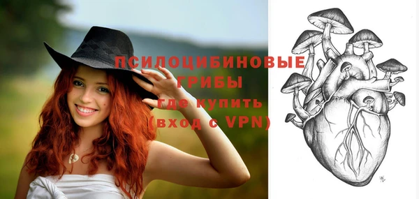 ALPHA-PVP Новозыбков