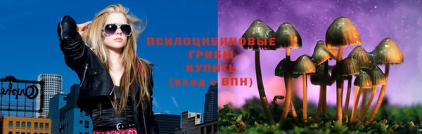 ALPHA-PVP Новозыбков