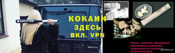 эйфоретик Новодвинск