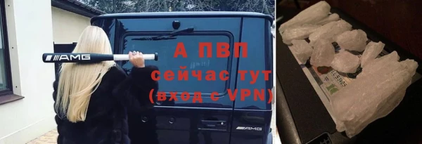 спиды Новокубанск