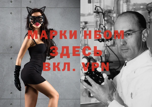 спиды Новокубанск