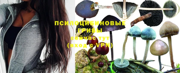 ALPHA-PVP Нягань